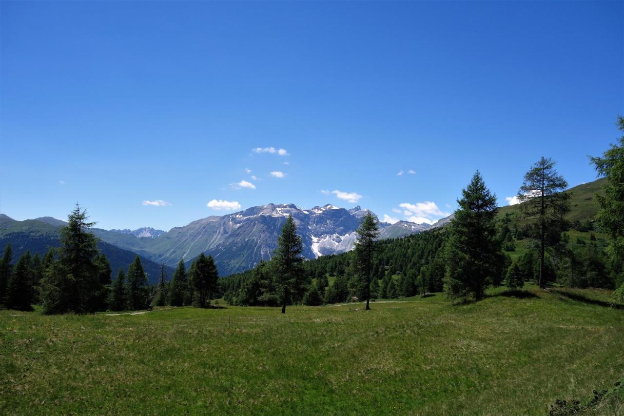 Alpen Gasthof Apartments Hohe Burg ترينس المظهر الخارجي الصورة